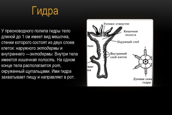 Кракен даркнет ссылка kraken link24 info